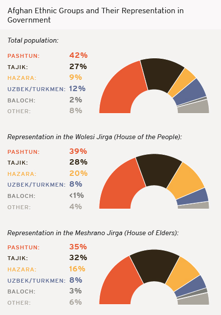 chart on ethinc group representation in government