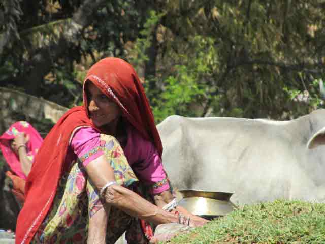 Rural Rajasthan